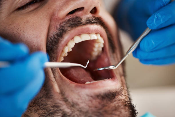 Best Orthodontic Emergency Dentist in Avoca, PA